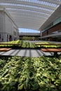 The Ames Atrium in the Cleveland Museum of Art